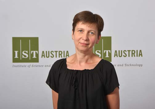Eva Benkova IST Austria