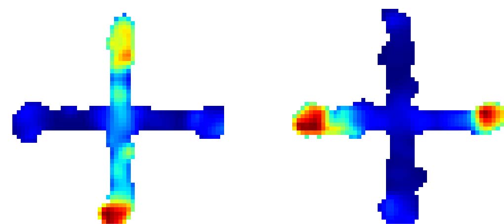 Spatial Firing © IST Austria Csicsvari Group