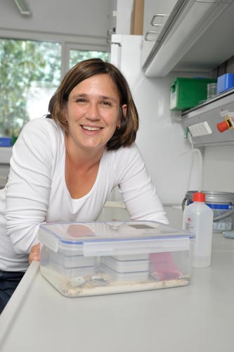 Photo of Sylvia Cremer in her lab at IST Austria 