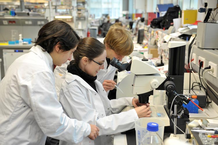 IST Austria Students working in lab IST Austria