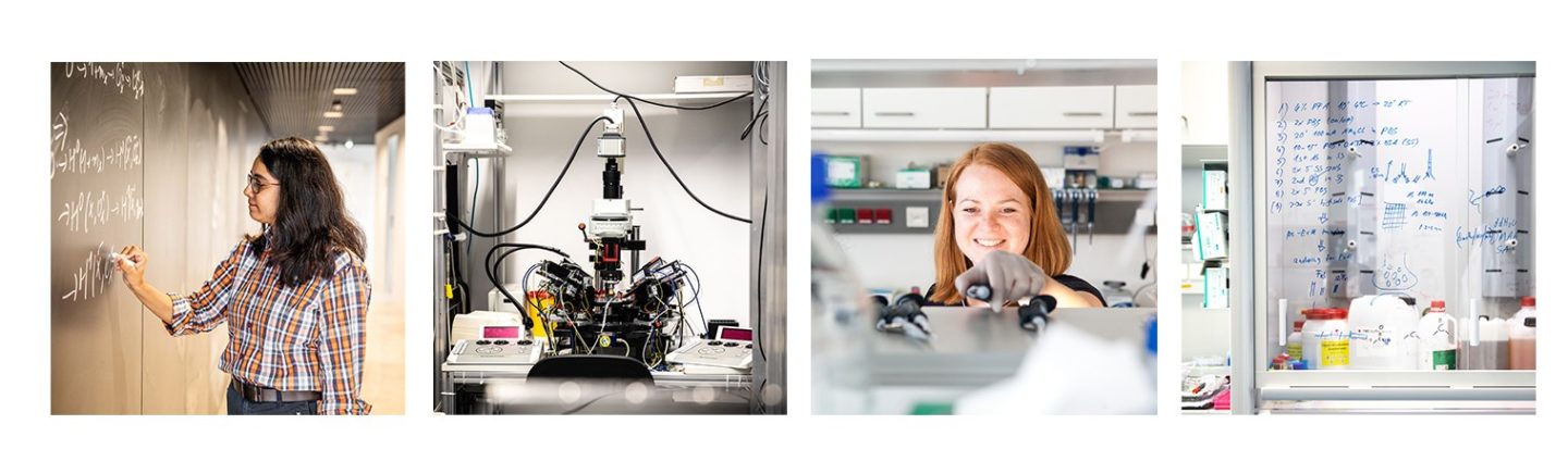 IST BRIDGE Postdoc IST Austria