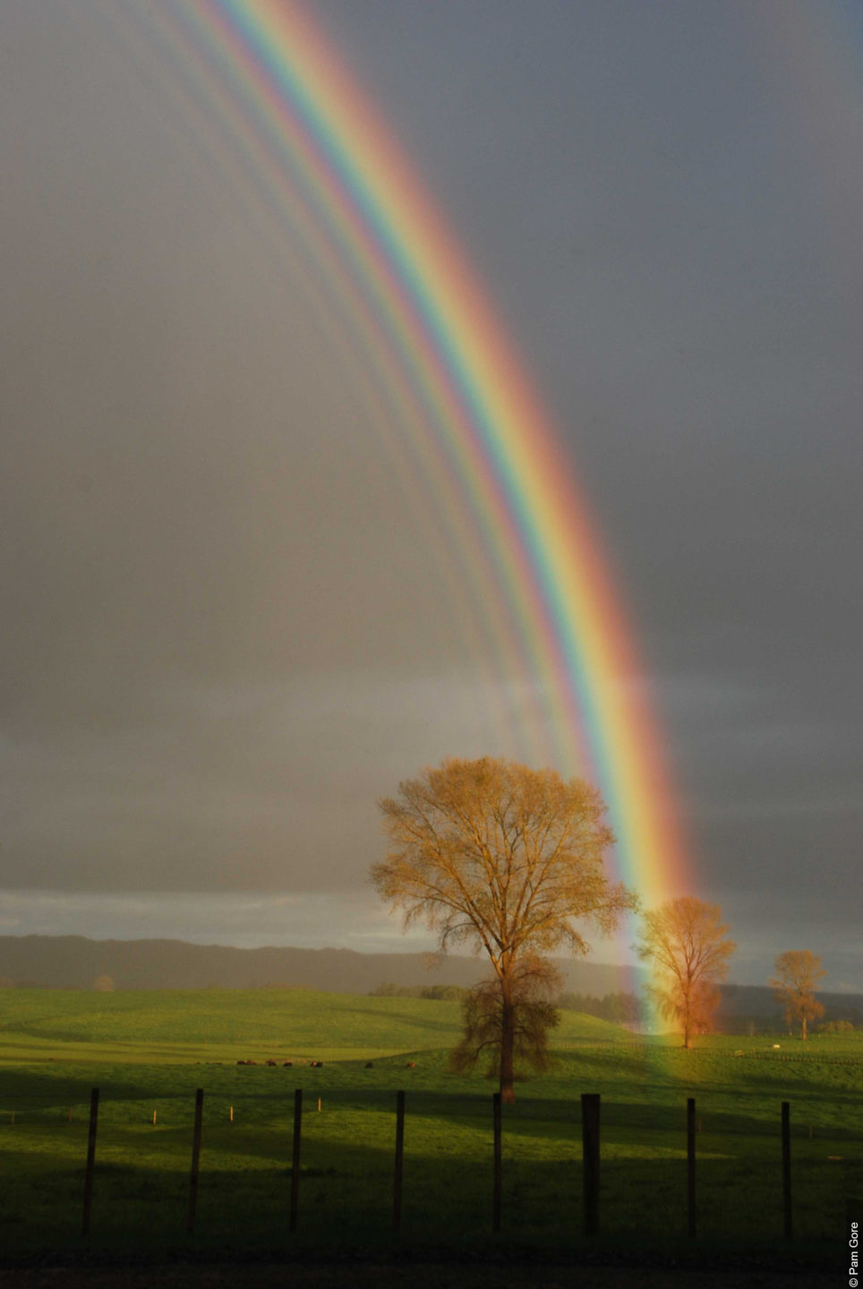 RAINBOW Supernumerary(c)WMO,Pam Gore