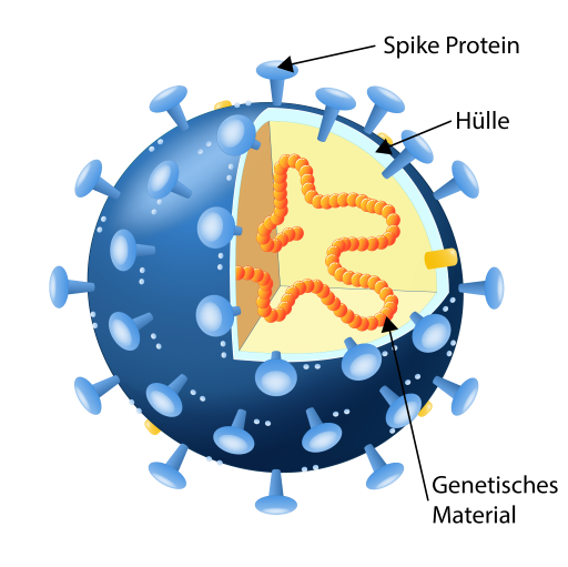 Corona Virus Structure DE (c) Shutterstock
