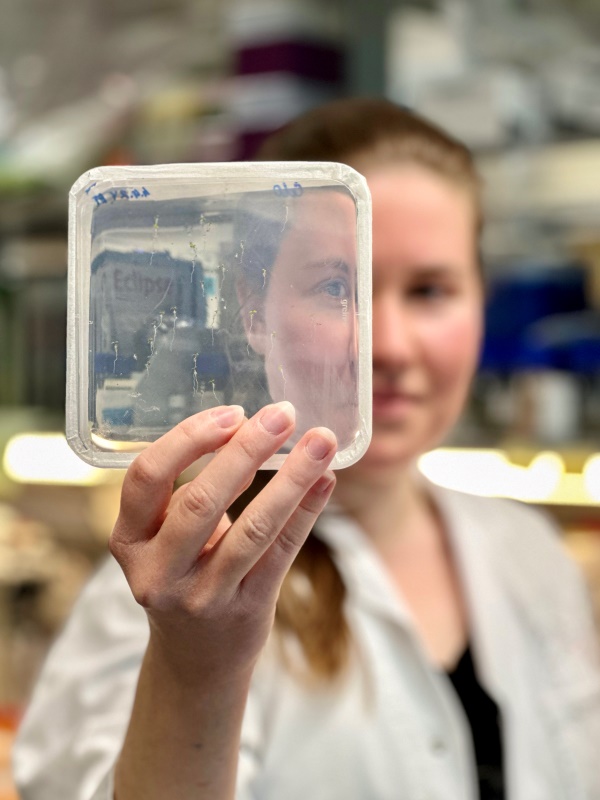 Anastasia Teplova Behind Petri Dish