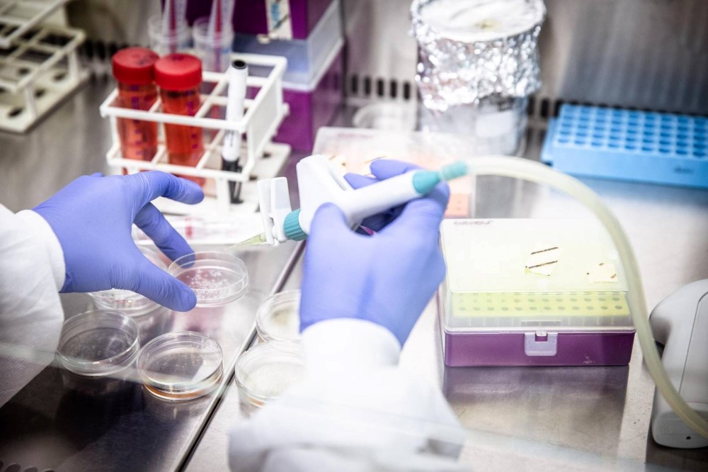 Scientist working in the lab.