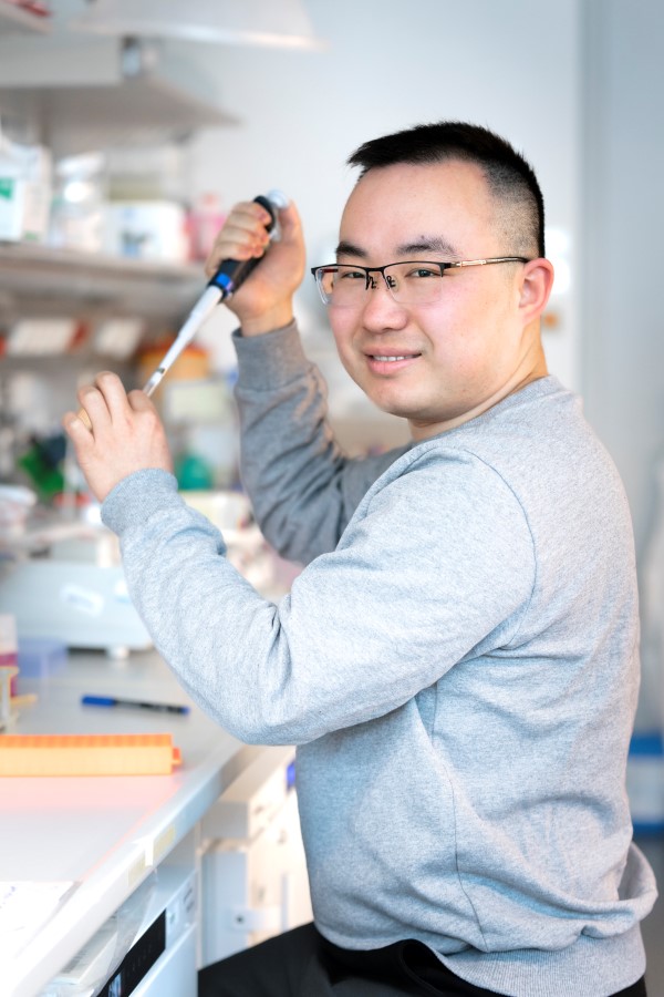 ISTA graduate Huihuang Chen from the Friml Group.