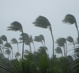 Main image for article