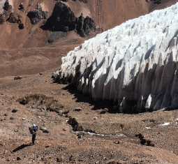 Main image for article