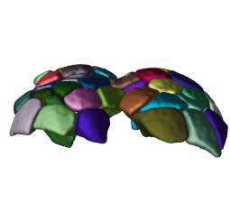 Main image for article