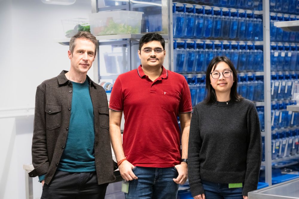 ISTA’s Carl-Philipp Heisenberg, Nikhil Mishra, and Yuting Irene Li (from left to right).