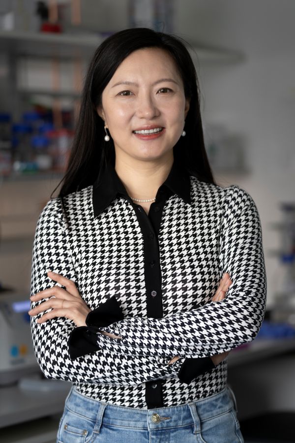 Professor Xiaoqi Feng