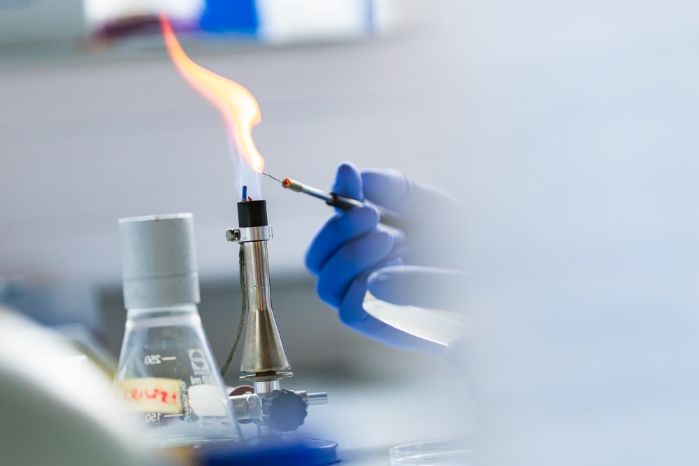 E. coli kann Bakteriophagen und CRISPR-Cas-Immunität nutzen, um DNA zu übertragen. Dieser DNA-Transferprozess ähnelt einer primitiven Form sexueller Fortpflanzung und könnte Bakterien-Populationen helfen, sich an veränderte Bedingungen anzupassen.
