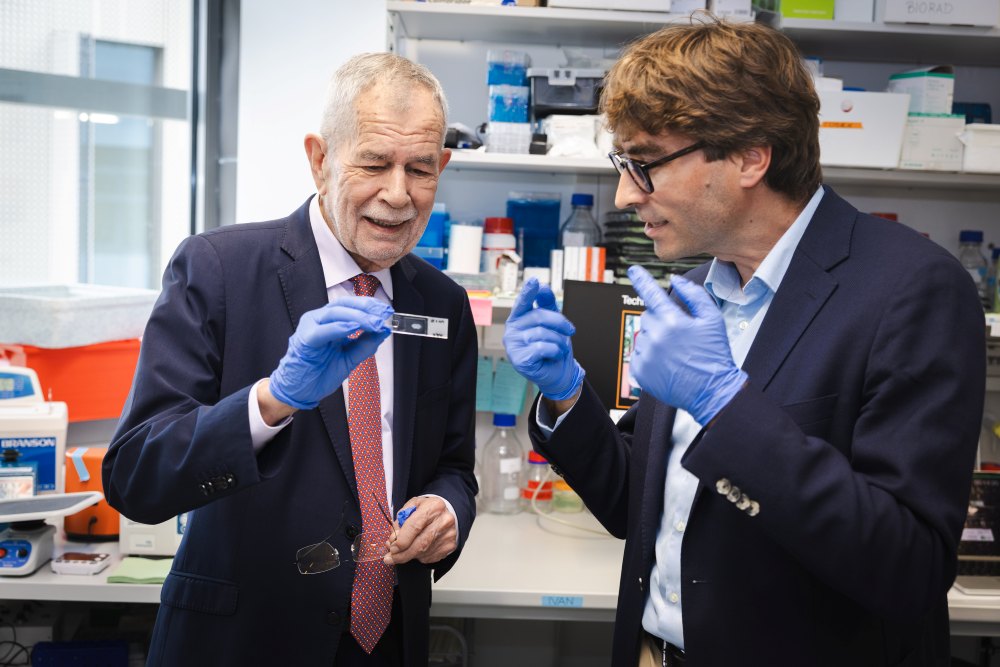In the lab of ISTA Professor Johann Danzl, the focus was on decoding processes in the brain.