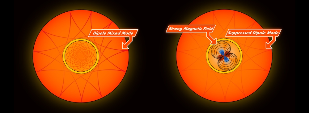 Suppressed dipole modes.